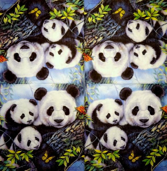 038 Teddy - 3-ply - Madame est Servie